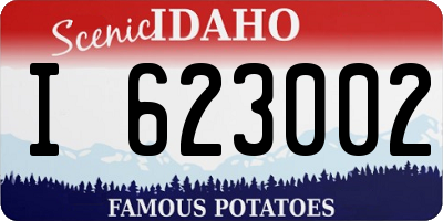 ID license plate I623002