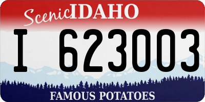 ID license plate I623003