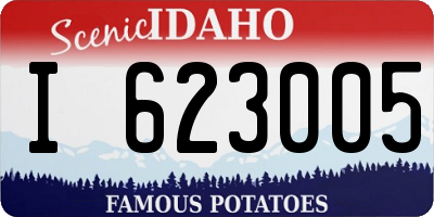 ID license plate I623005