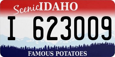 ID license plate I623009
