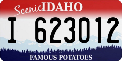 ID license plate I623012