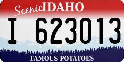 ID license plate I623013
