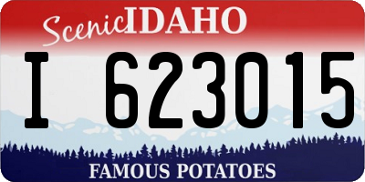 ID license plate I623015