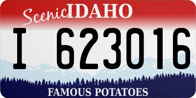 ID license plate I623016
