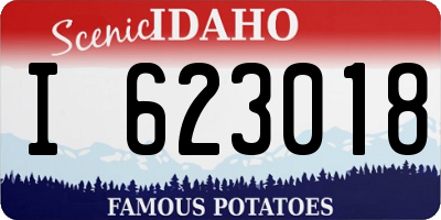 ID license plate I623018