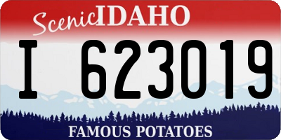 ID license plate I623019