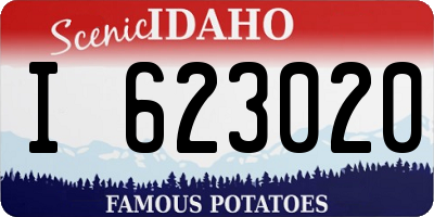 ID license plate I623020