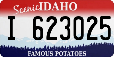 ID license plate I623025
