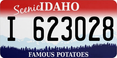 ID license plate I623028
