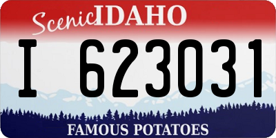 ID license plate I623031
