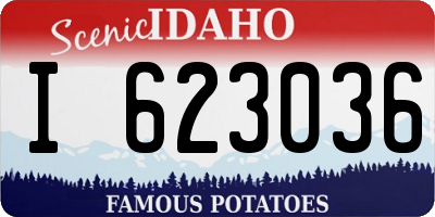 ID license plate I623036