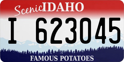 ID license plate I623045