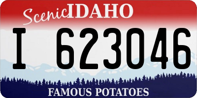 ID license plate I623046