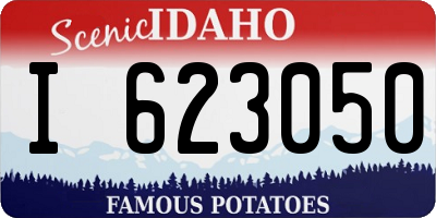 ID license plate I623050