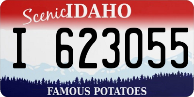 ID license plate I623055
