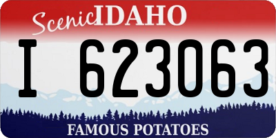 ID license plate I623063