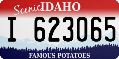 ID license plate I623065