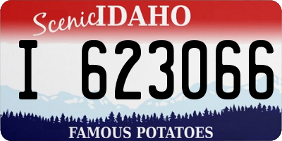 ID license plate I623066