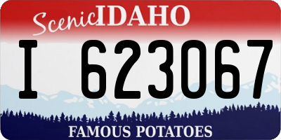 ID license plate I623067