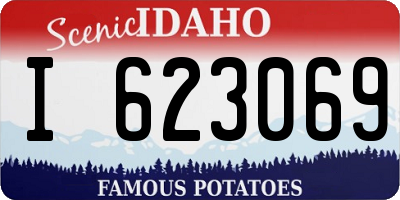 ID license plate I623069