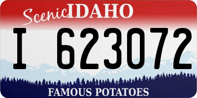 ID license plate I623072