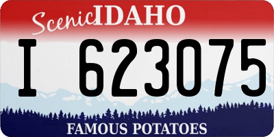 ID license plate I623075