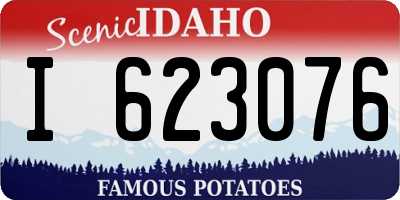 ID license plate I623076