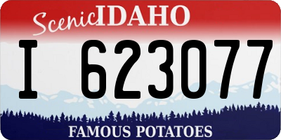 ID license plate I623077