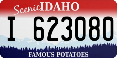 ID license plate I623080
