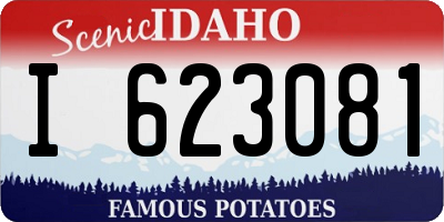 ID license plate I623081