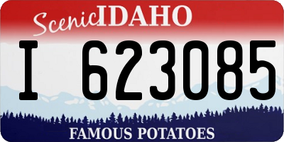 ID license plate I623085