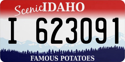ID license plate I623091