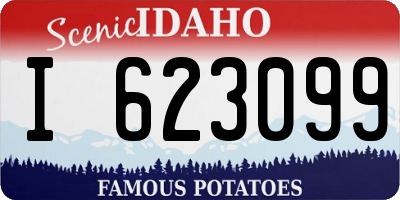 ID license plate I623099