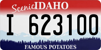 ID license plate I623100