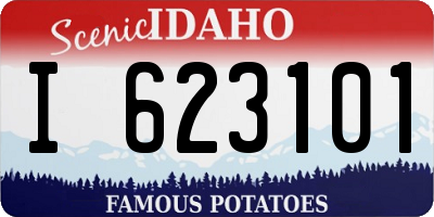 ID license plate I623101