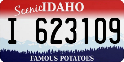 ID license plate I623109