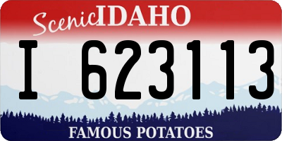 ID license plate I623113