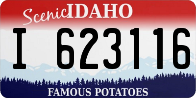 ID license plate I623116