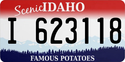 ID license plate I623118