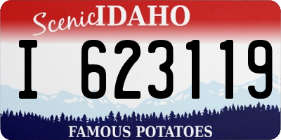 ID license plate I623119