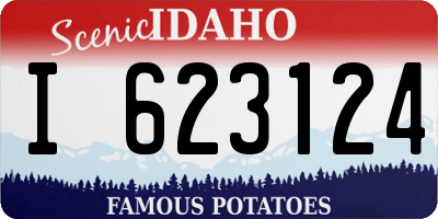 ID license plate I623124