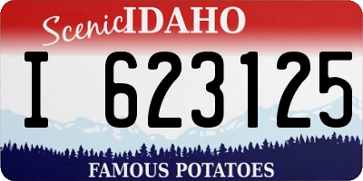 ID license plate I623125