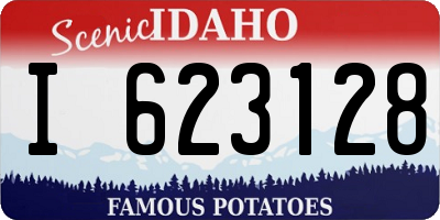 ID license plate I623128