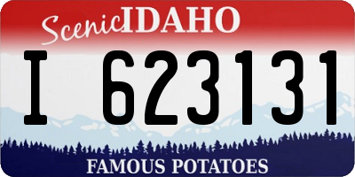 ID license plate I623131