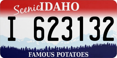 ID license plate I623132