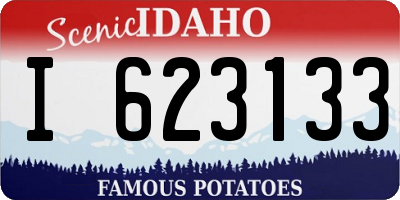 ID license plate I623133