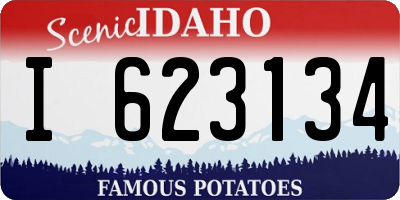 ID license plate I623134