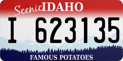 ID license plate I623135