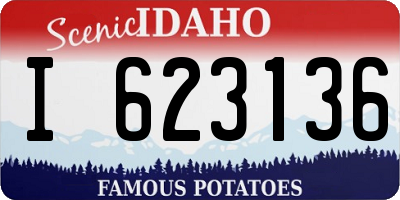 ID license plate I623136