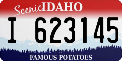 ID license plate I623145